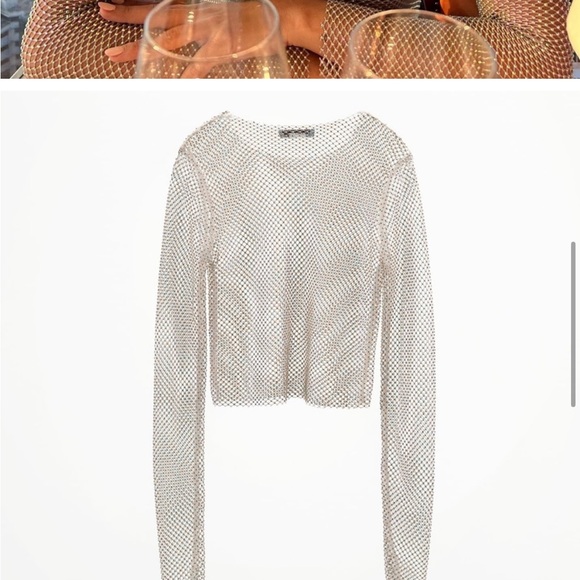🍹NWT ZARA BLOGGERS FAVORITE favorite Shimmer Mesh Crop Top size small - Picture 6 of 11